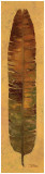 Banana Leaf III