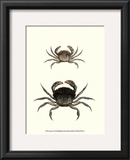 Buy Antique Crab I at AllPosters.com