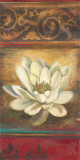 Red Eclecticism with Water Lily