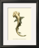 Buy Shark Tale II at AllPosters.com
