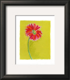 Buy Daisy at AllPosters.com