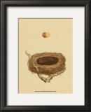 Buy Antique Nest and Egg III at AllPosters.com