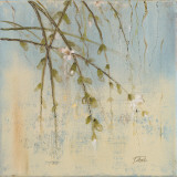 Cherry Blossom II