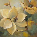 Magnolias After the Rain I
