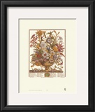 Twelve Months of Flowers, 1730, September