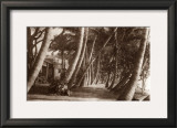 Coconut Lane, Waikiki, Hawaii, 1916