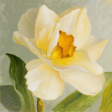 Buy Daffodil Sky I at AllPosters.com