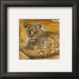 Buy Wild Life II at AllPosters.com