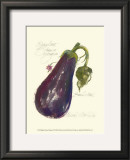 Buy Eggplant Solanum Melongena at AllPosters.com