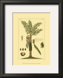Buy Printed Exotic Palm VI at AllPosters.com