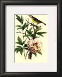 Buy Bird in Nature III at AllPosters.com