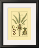 Buy Printed Exotic Palm III at AllPosters.com