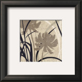 Buy Botanical Elements II at AllPosters.com