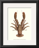 Buy Antique Lobster II at AllPosters.com