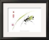 Grasshopper