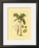 Buy Printed Exotic Palm V at AllPosters.com