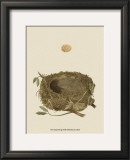Buy Antique Nest and Egg I at AllPosters.com