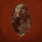 Buy Beauty in Red II at AllPosters.com