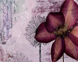 Pressed Flowers I