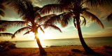 Buy Bimini Sunset at AllPosters.com