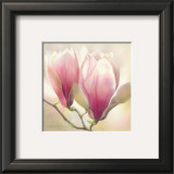 Buy Magnolia Nigra at AllPosters.com