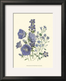 Buy Loudon Florals II at AllPosters.com