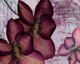 Pressed Flowers II