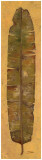 Banana Leaf II