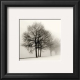 Winter Grove