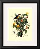 Buy Bird in Nature II at AllPosters.com