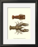 Buy Antique Lobster III at AllPosters.com