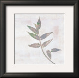 Buy Leaf Synthesis III at AllPosters.com