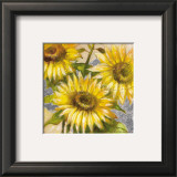 Buy Magnificent Suns at AllPosters.com