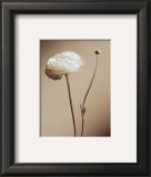 Buy Black and White I at AllPosters.com