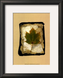 Buy Kyoto Leaves V at AllPosters.com
