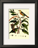 Buy Bird in Nature I at AllPosters.com