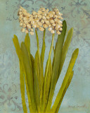 Hyacinth on Teal II