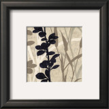 Buy Botanical Elements IV at AllPosters.com