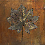 Maple II