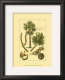 Buy Printed Exotic Palm I at AllPosters.com