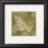 Buy Organic Fern at AllPosters.com