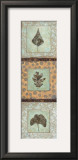 Buy Leaf Study II at AllPosters.com