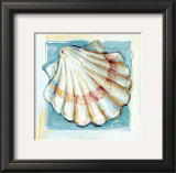 Buy Shell  White Serie I at AllPosters.com