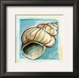 Buy Shell  White Serie I at AllPosters.com