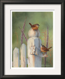 Buy Wrens on Fence Post at AllPosters.com