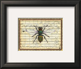 Bumblebee Harmony I