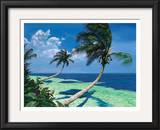 Beckoning Palms