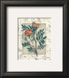 Buy Calendula at AllPosters.com