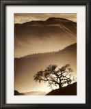Desert Dreams II