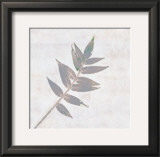 Buy Leaf Synthesis I at AllPosters.com